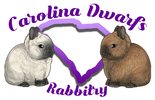 Carolina Dwarfs Rabbitry